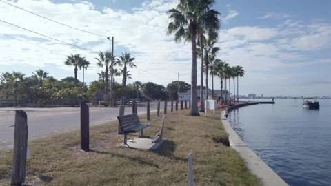 Gray blue heron walking left with bay water Stock Footage 255863756