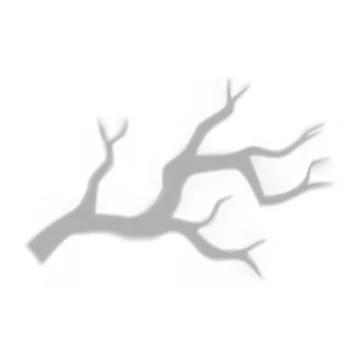 Gray blurred shadow of tree branch without leaves, overlay effect. Stock Illustration