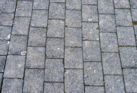 Gray brick pavement form a footpath Stock Photos