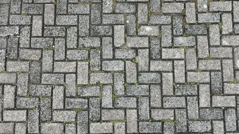 Gray brick pavement Stock Photos