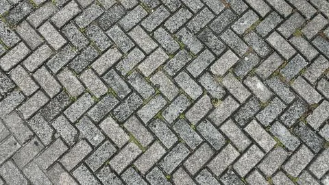 Gray brick pavement Stock Photos