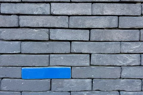 Gray brick wall and one blue brick Stock Photos