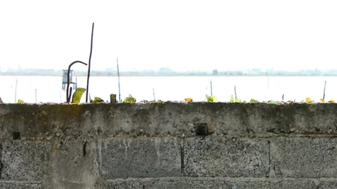 Gray brick wall Stock Footage 127950726