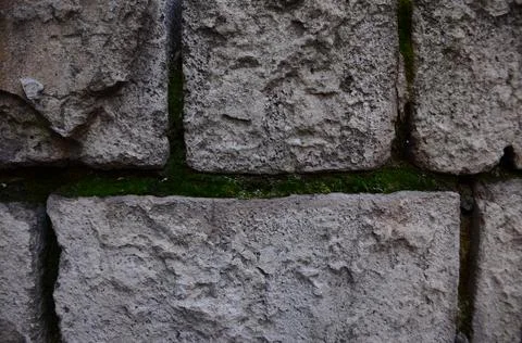 Gray brick wall with moss Stock Photos