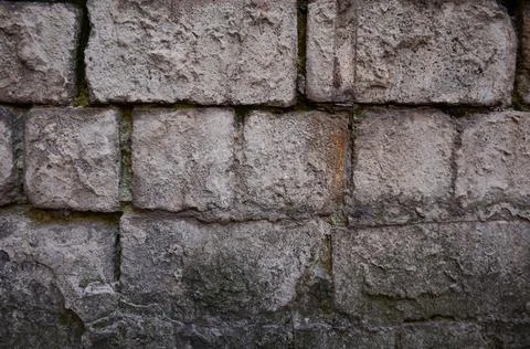 Gray brick wall with moss Foto stock