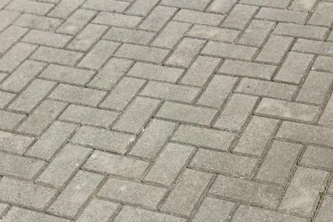 Gray bricks on a garden sidewalk Stock Photos