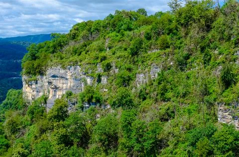 Gray-brown mountain cliffs close-up in summer among green plants Stock Photos