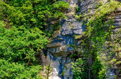 Gray-brown mountain cliffs close-up in summer among green plants Stock Photos