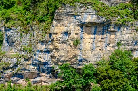Gray-brown mountain cliffs close-up in summer among green plants Stock Photos