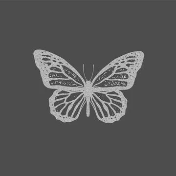 Gray butterfly isolated on a dark background. Photocopy effect. Stock Illustration