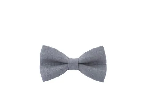 Gray butterfly Stock Photos