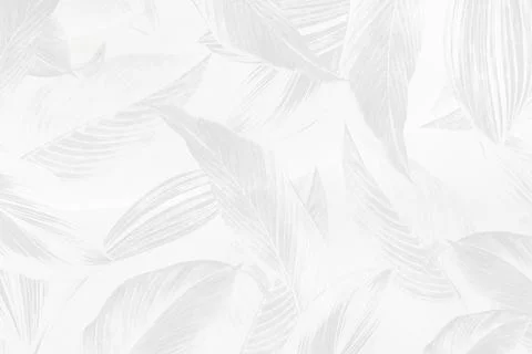 Gray calathea lutea leaf patterned background Stock Illustration
