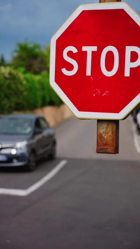 A gray car moving past a red stop sign on a residential street during the d.. Stock Footage 339376526