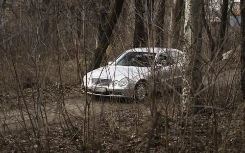 Gray car Stock Photos
