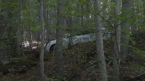 A gray car stands in the forest. Crime scene car in the forest Stock Footage 252197783