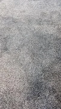 Gray carpet polyester texture. Seamless monochrome gray carpet texture backgr Stock Photos