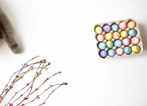 Gray cat and a colored willow branch with painted eggs in a cage. Happy Easter Stock Photos