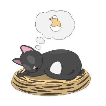Gray cat is hatching an egg. Stock Illustration