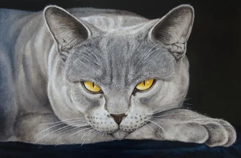 Gray cat . Stock Illustration