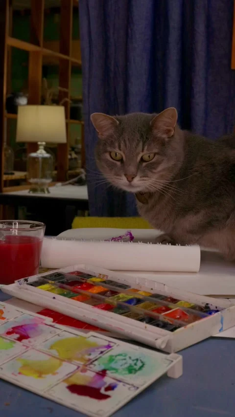 Gray cat lying on desk among watercolor paints and drawings in cozy art studio.  Stock Footage 328659101