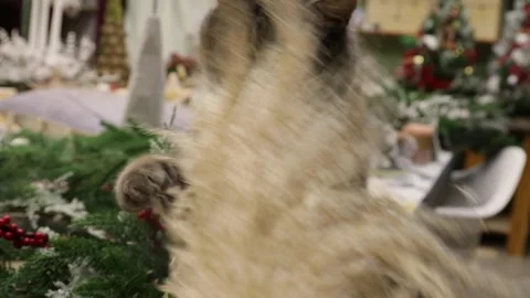Gray cat playing with pampas grass on the table in the florist's workshop Stock Footage 288492640