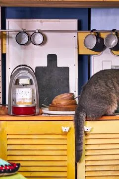 Gray cat sits on a yellow small kitchen in the form of a house in the design int Foto stock