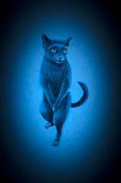 Gray cat on two legs Stock Illustration