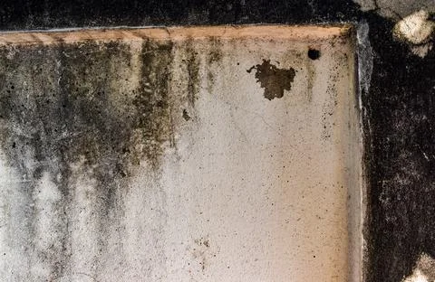 Gray cement surface (for design work) Stock Photos