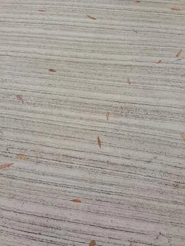 Gray cement surface with horizontal lines and scattered leaves Stock Photos