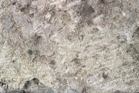 Gray cement texture of an old wall Stock Photos