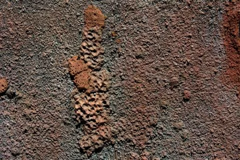 Gray cement wall with dark divorces. Close-up of fragments. In the category Stock Photos