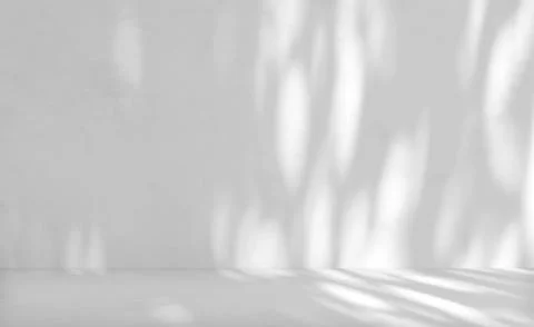 Gray cement wall in empty room with light and shadow. Stock Photos