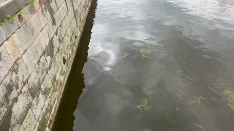 Gray city river and cloudy sky. Red houses along the road 動画素材 203783199