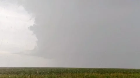 Gray clouds and pouring rain in green field Stock Footage 252929178