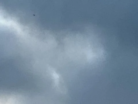 Gray Clouds with Small Dark Bird in Sky Foto stock