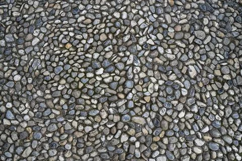 Gray cobblestone floor background with rounded stones of different shapes. Pe Stock Photos