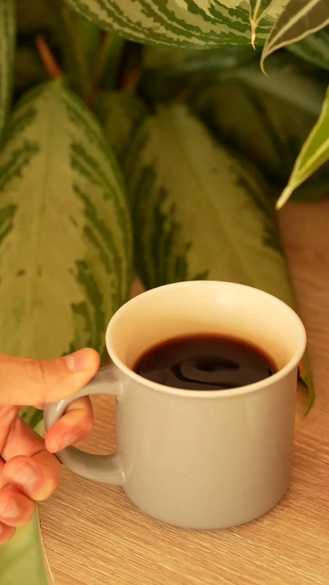Gray Coffee Mug Held and Placed Back on a Wooden Table Stock Footage 304885030