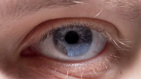Gray color eye  close-up Vidéo 50860051