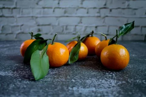 Gray concrete background with a brick wall, tangerines with leaves and twigs Stock Photos