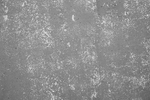 Gray concrete background with natural texture. Abstract surface for back. Stock Photos