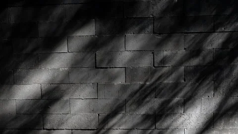 Gray concrete brick wall texture with sunlight and tree shadow patterns. Stock Footage 330149734