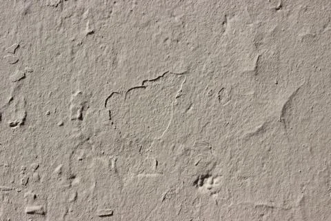 Gray concrete wall 写真素材