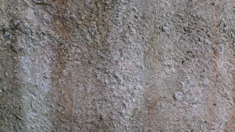 Gray concrete wall with texture. background for the designer Stock Photos