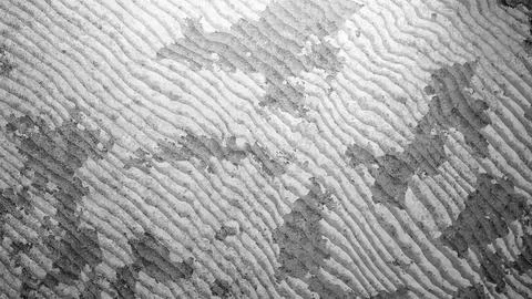 Gray contour line background over weathered concrete texture. Stock Photos
