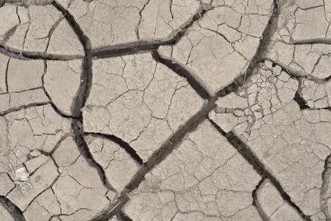 Gray cracked eart Stock Photos