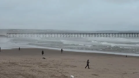 Gray day pier beach distant cliffs Stock Footage 260504213