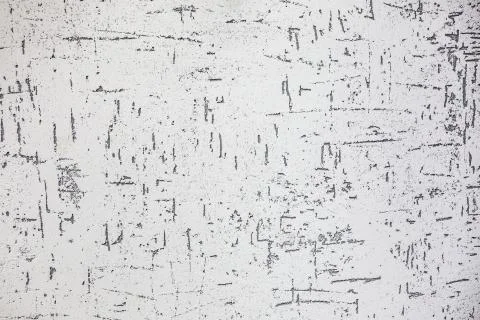 Gray decorative bark beetle bug plaster texture with imitation of trunk with Foto stock