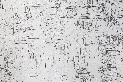 Gray decorative bark beetle bug plaster texture with imitation of trunk 스톡 사진