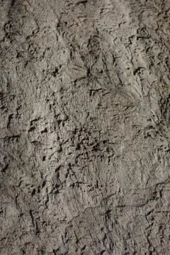 Gray decorative plaster Stock Photos