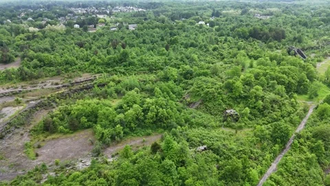 Gray Descendance - Syracuse, NY Video stock 336345256